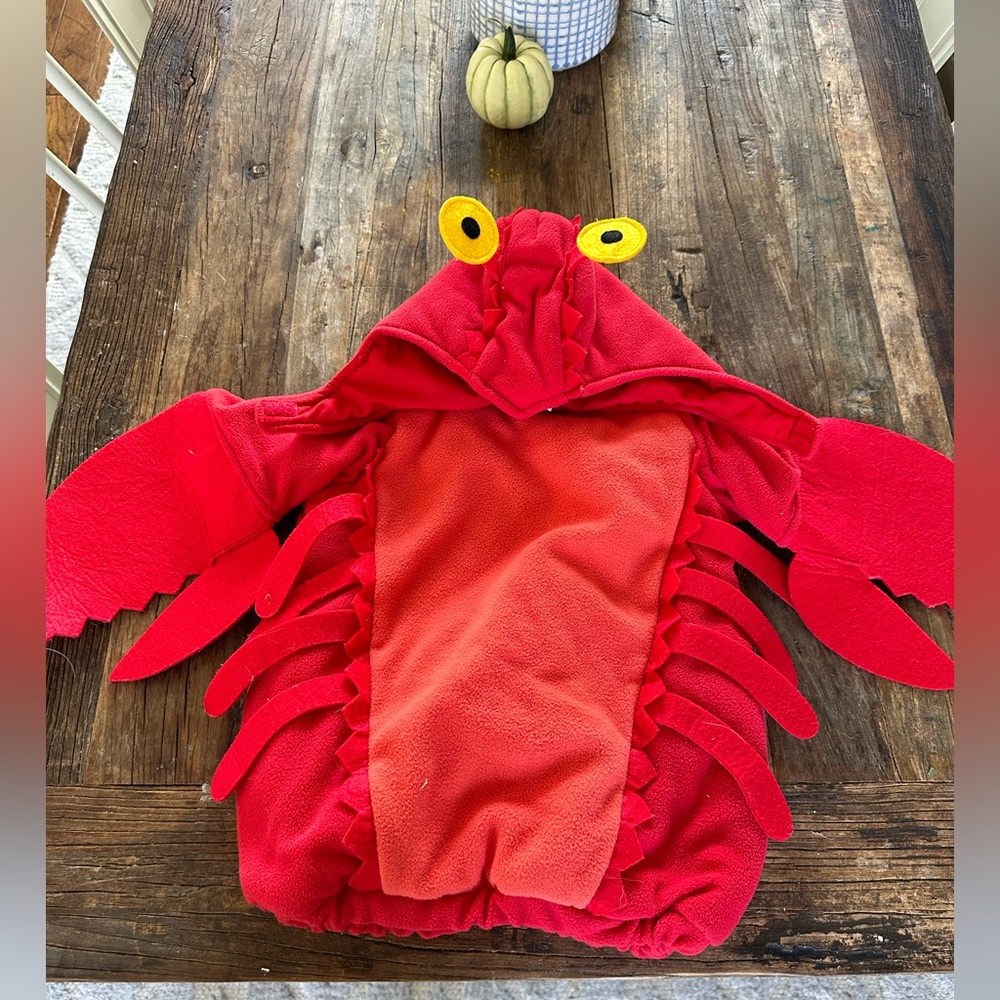 PBK lobster costume size 12-24 months